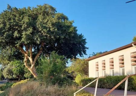 Kibbutz Hatzor 