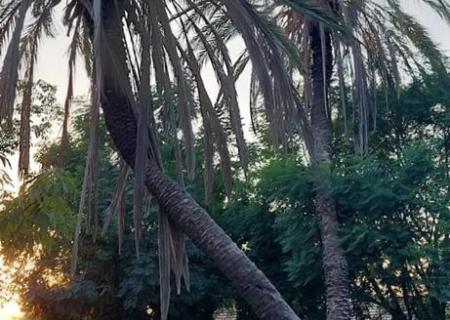 Kibbutz Hatzor 