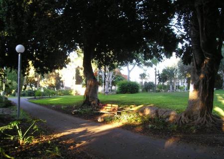 Kibbutz Mishmar Hasharon
