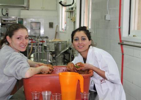 Kibbutz Mishmar Hasharon