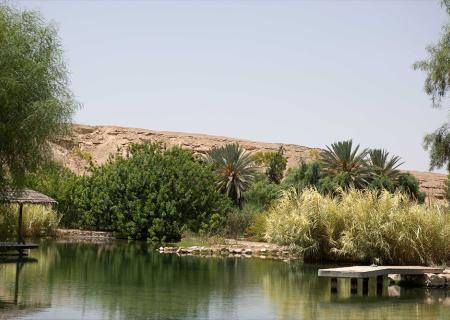 Neot Semadar