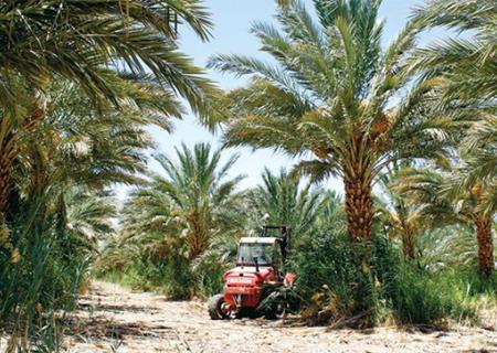 Kibbutz Samar