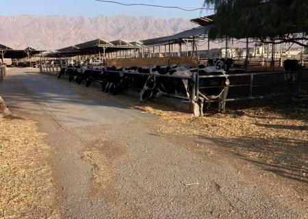 Kibbutz Samar