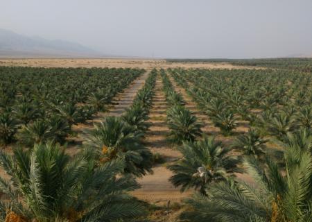 Kibbutz Samar