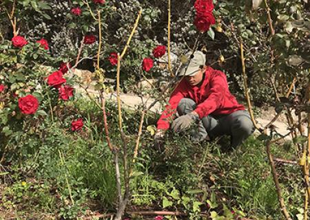 Kibbutz Ein Harod Ichud
