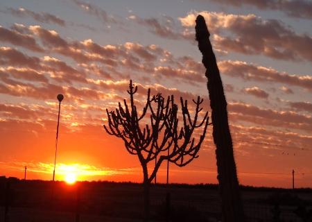 Kibbutz Revivim