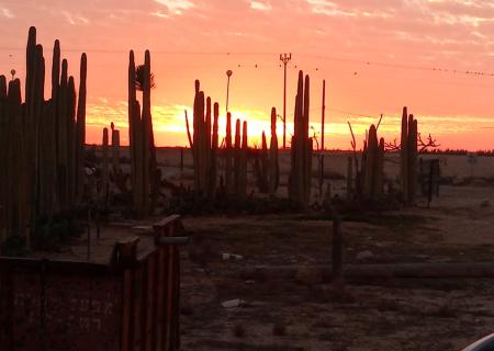 Kibbutz Revivim