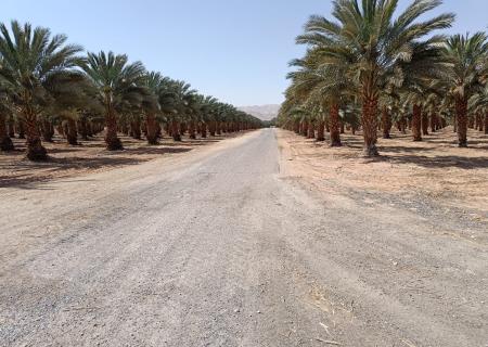 Kibbutz Grofit