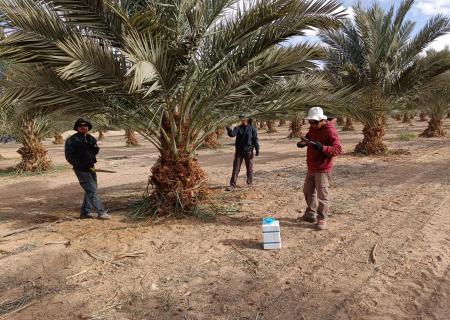 Kibbutz Grofit