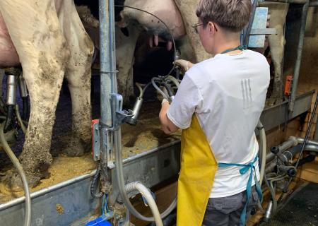 Gezer - Milk Farm Work