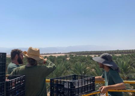 Kibbutz Lotan
