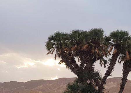 Kibbutz Ketura
