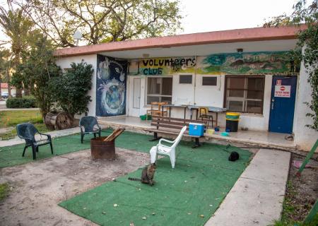 There is a clubhouse which has smart TV, living room, kitchen, bathroom & a small library w/books in many languages. 3 area WiFi.