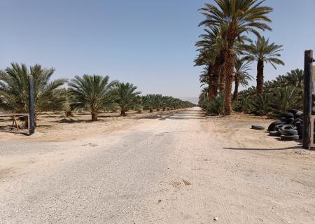 Kibbutz Grofit