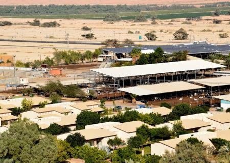 Kibbutz Yotvata 