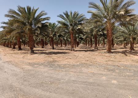 Kibbutz Grofit