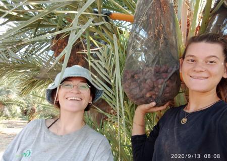Kibbutz Ketura