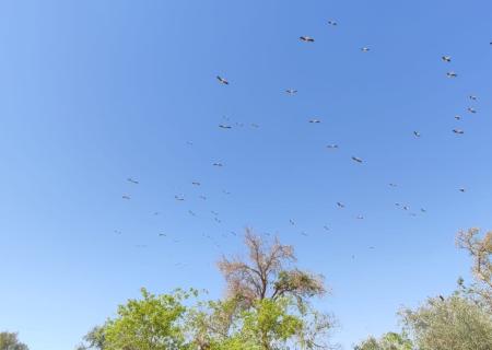 Kibbutz Ketura