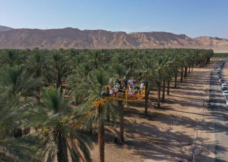 Kibbutz Ketura