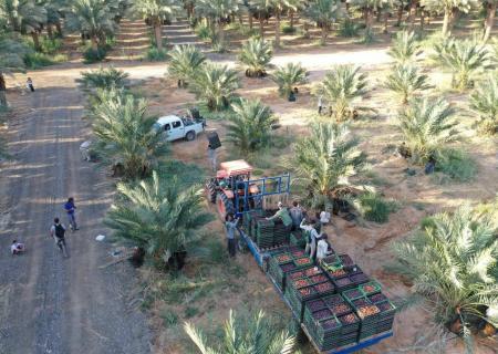 Kibbutz Ketura